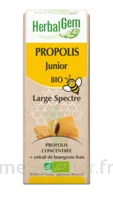 Herbalgem Propolis Large Spectre Solution Buvable Bio Junior Fl Cpte-gttes/15ml à BANTZENHEIM